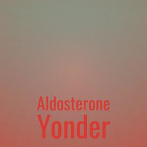 Aldosterone Yonder