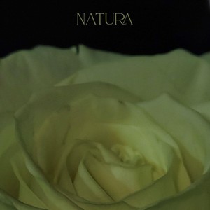 Locked out of Humanity (Live)