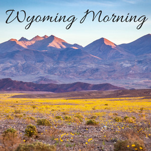 Wyoming Morning