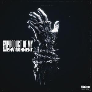 Product Of My Environment (Explicit)