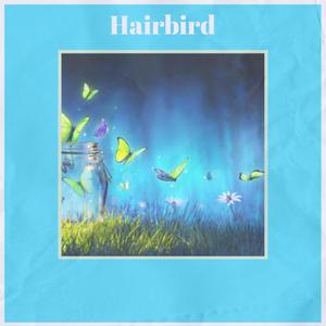 Hairbird