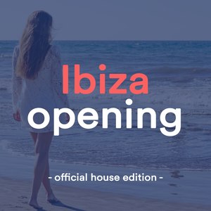 Cant Stop the World (Crazibiza Radio Edit)