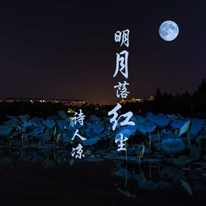诗人凉 - 明月落红尘