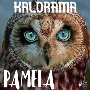 PAMELA