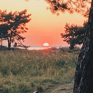 Светло-розовый рассвет