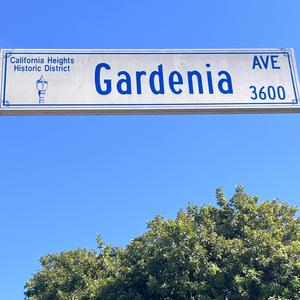 Gardenia Ave (Explicit)