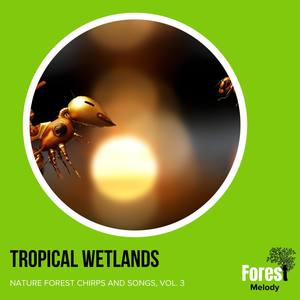 Tropical Wetlands - Nature Forest Chirps and Songs, Vol. 3