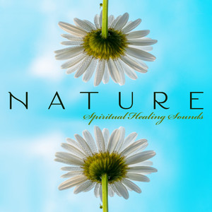 Nature Spiritual Healing Sounds: Ambient Nature and Celtic Melodies for Relaxation, Rest, Soothe, Calm Down, Regain Harmony in You, Fresh Music Compilation 2020