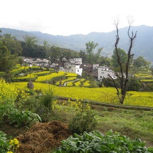 雷锋叔叔，你在哪里