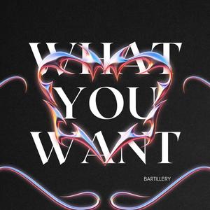 What You Want (Explicit)