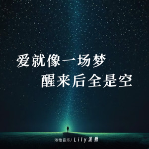 爱就像一场梦醒来后全是空 (卡点版)