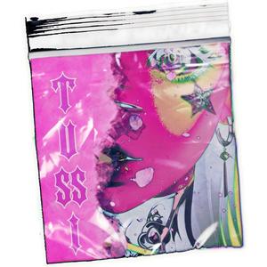 TUSSI (feat. Es El Grizzly) (Explicit)