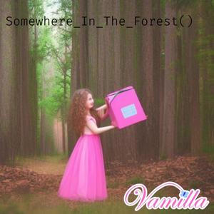 Somewhere in the Forest
