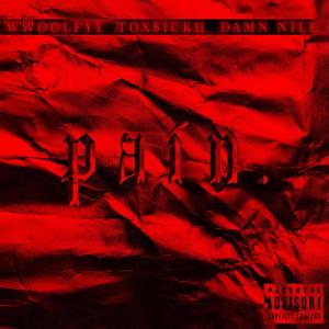 PAIN.(feat. Wwoolfyy) (Explicit)