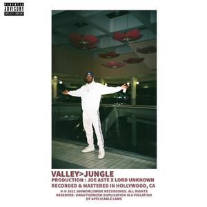 Valley>Jungle (Explicit)