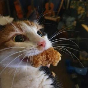 Made A Song Cause I Was Mad Today (Explicit)