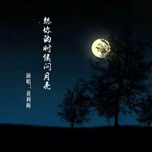 想你的时候问月亮