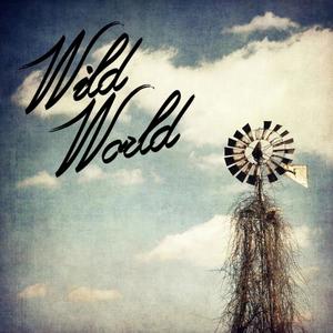 Wild World