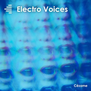 Voice Without End