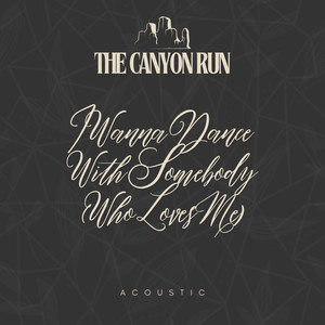 I Wanna Dance With Somebody (Who Loves Me) (Acoustic)