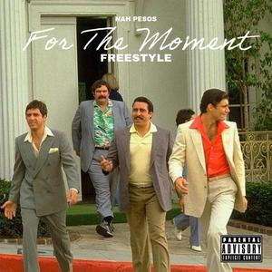 For The Moment Freestyle (Explicit)