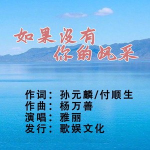 如果没有你的风采