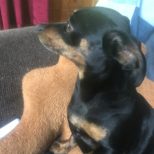 everyone knows (Extended)