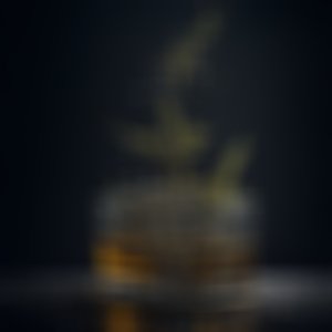 Cheiro de Whisky (Explicit)