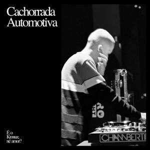 Placo Na Cara Da Puta (ELETROFUNK) (Explicit)