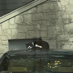 i found you in a dream, then lost you again