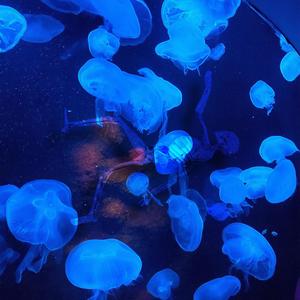 Fall Slowly (feat. Culdesac Macc) (Explicit)