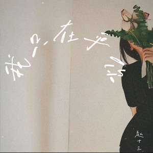 我只在乎你-赵十三