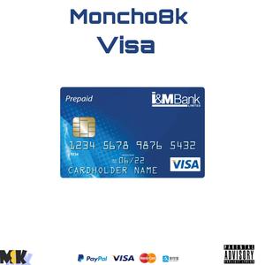VISA (Explicit)