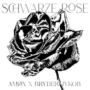 Schwarze Rose