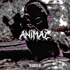 ANIMAL (Explicit)