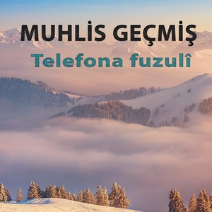 Telefona Fuzulî