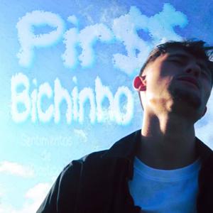 BICHINHO (feat. megz)