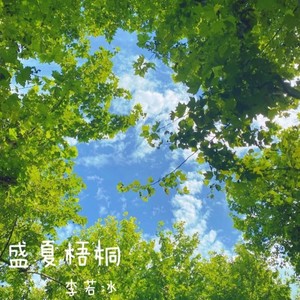 盛夏梧桐