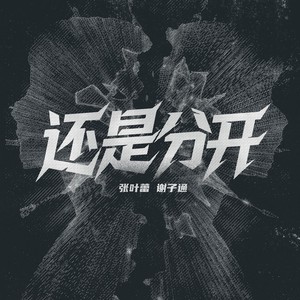 还是分开 (rap版)封面