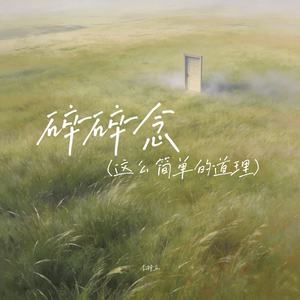 碎碎念（这么简单的问题）封面
