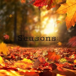 Seasons