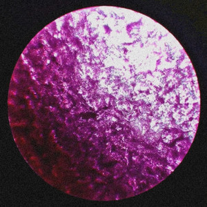 Olvidarte (Apaga La Luz) (Explicit)