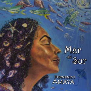 Mar del Sur