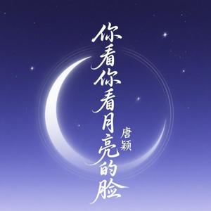 你看你看月亮的脸