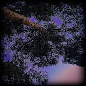 nik la fin du monde (Explicit)