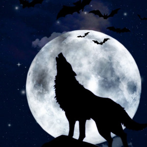 Howling At The Moon (Explicit)