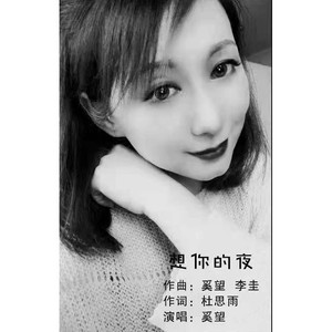 想你的夜-奚望