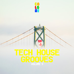 Tech House Grooves 9