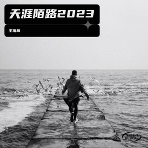 王雨枫 - 天涯陌路2023