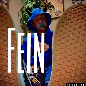 FEIN (Explicit)